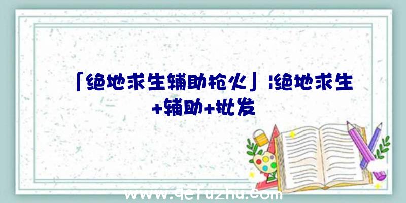 「绝地求生辅助枪火」|绝地求生+辅助+批发